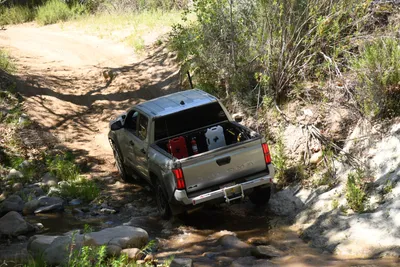 DSC_5919 (Large).JPG